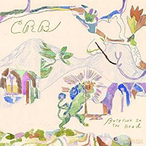 Chris Robinson Brotherhood: Barefoot In The Head [2xWinyl]