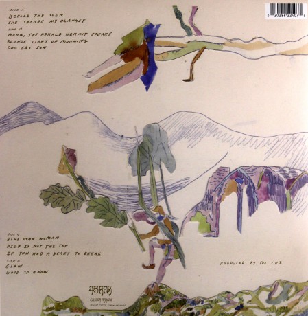 Chris Robinson Brotherhood: Barefoot In The Head [2xWinyl]