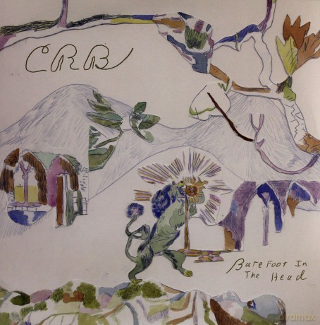 Chris Robinson Brotherhood: Barefoot In The Head [2xWinyl]