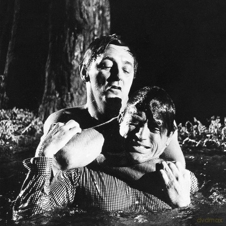 Bernard Herrmann: Cape Fear [Winyl]