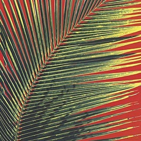 Poolside: Contact High [Winyl]