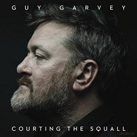 Guy Garvey: Courting The Squall [Winyl]