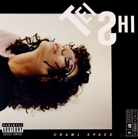 Tei Shi: Crawl Space [Winyl]