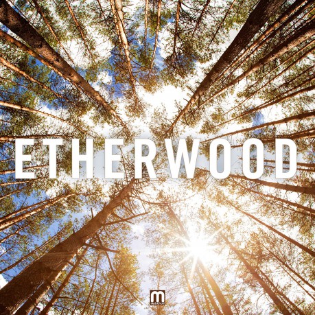 Etherwood: Etherwood [Winyl]