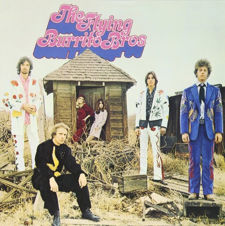 Flying Burrito Bros: Gilded Palace Of Sin [Winyl]