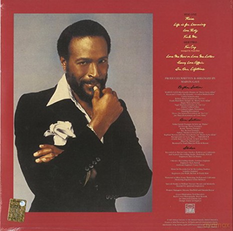 Marvin Gaye: In Our Lifetime [Winyl]
