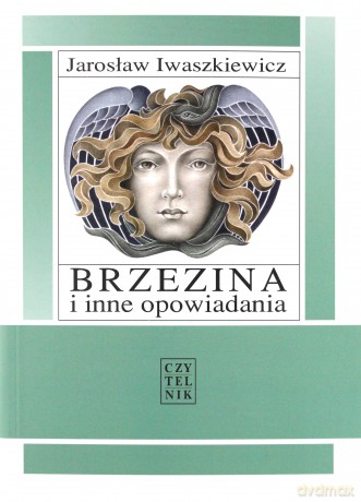 Brzezina i inne opowiadania - Jarosław Iwaszkiewicz [KSIĄŻKA]