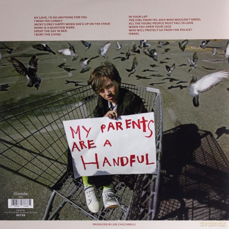 Morrissey: Low In High School [Winyl]