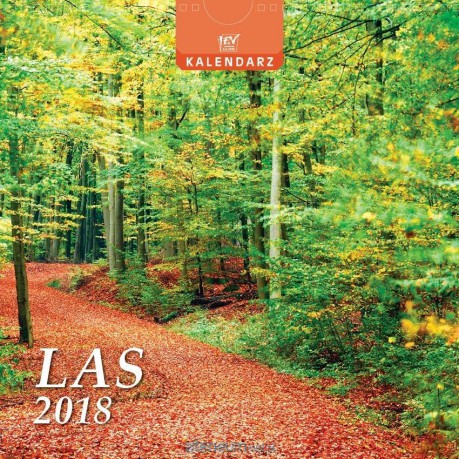 Kalendarz 13 Plansz kwadratowy - Las [KALENDARZ]