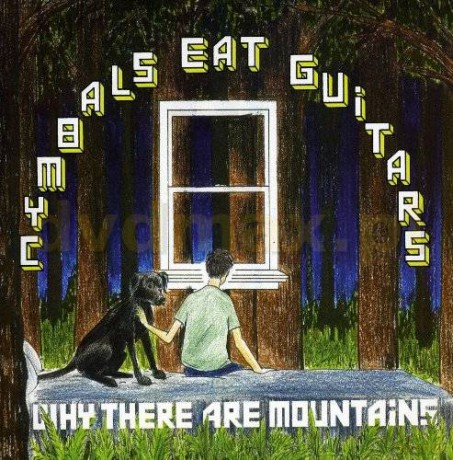 Cymbals Eat Guitars: Why There Are Mountains [CD]