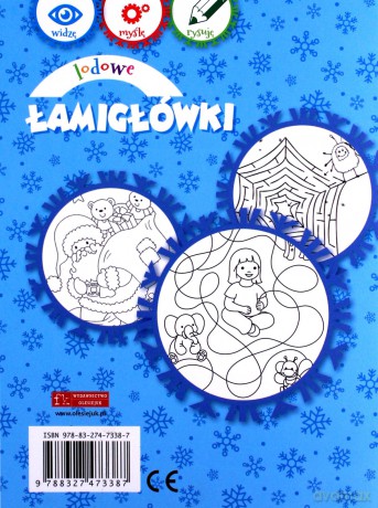 Lodowe Łamigłówki - Anna Wiśniewska [KSIĄŻKA]