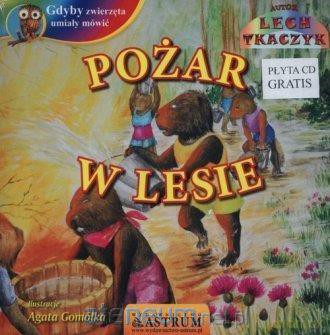 Pożar w lesie [KSIĄŻKA]