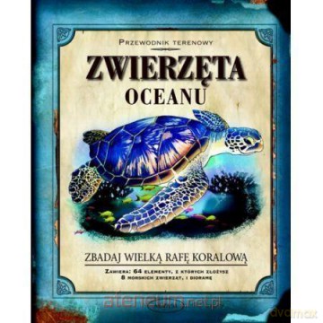 Przewodnik terenowy. Zwierzęta oceanu - Phyllis Perry [KSIĄŻKA]