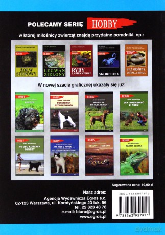 Kot domowy, czyli dachowiec - Katarzyna Lorens-Padzik [KSIĄŻKA]