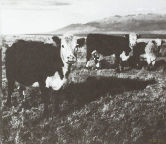 Mark Kozelek: The Finally Ep Digipack [CD]
