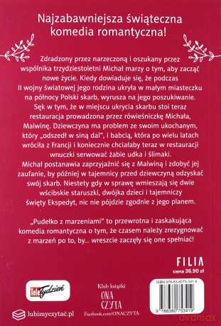 Pudełko z marzeniami - Magdalena Witkiewicz [KSIĄŻKA]