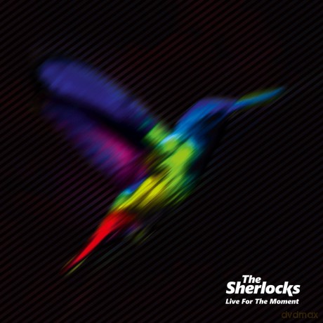 The Sherlocks: Live For The Moment [Winyl]