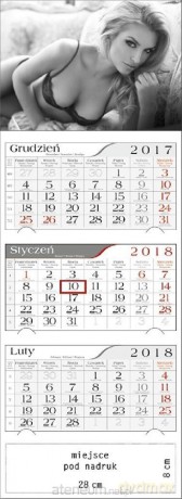 Kalendarz 2018 Trójdzielny Monika [KALENDARZ]