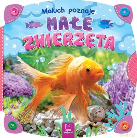 Maluch poznaje małe zwierzęta [KSIĄŻKA]