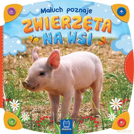 Maluch poznaje zwierzęta na wsi [KSIĄŻKA]