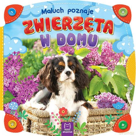 Maluch poznaje zwierzęta w domu [KSIĄŻKA]