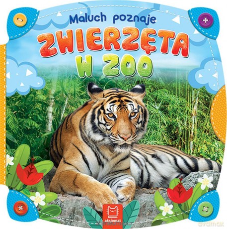 Maluch poznaje zwierzęta w zoo [KSIĄŻKA]
