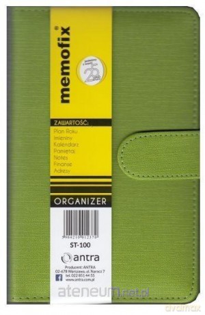 Organizer Memofix 2 ST 100 zielony