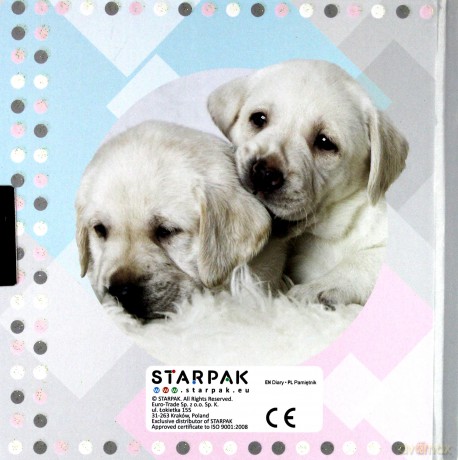 Pamiętnik z kluczykiem Doggy