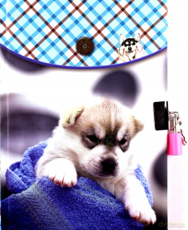 Pamiętnik z kluczykiem Puppy
