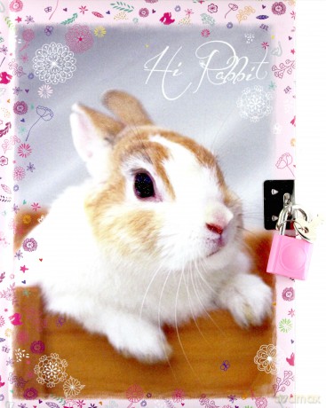 Pamiętnik z kluczykiem Rabbit
