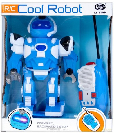 Robot ze sterowaniem