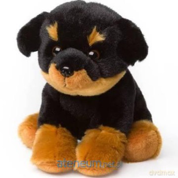 Rottweiler siedzący 15 cm
