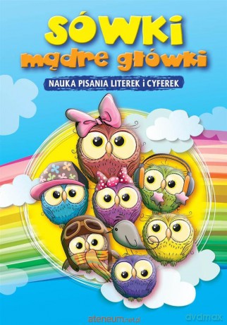 Sówki mądre główki. Nauka pisania literek i cyfere [KSIĄŻKA]