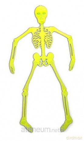 Świecący Szkieletor 92 cm