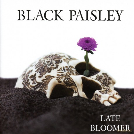 Black Paisley: Late Bloomer [CD]