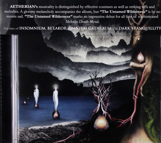 Aetherian: The Untamed Wilderness [CD]