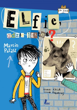 Elfie gdzie jesteś - Marcin Pałasz [KSIĄŻKA]