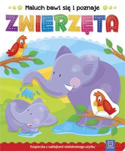 Maluch bawi się i poznaje. Zwierzęta [KSIĄŻKA]
