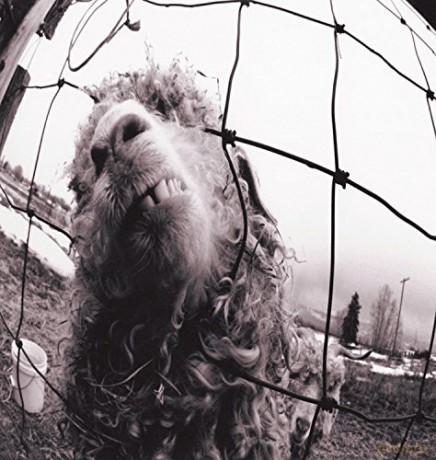 Pearl Jam: Vs.(Expanded Edition) [CD]