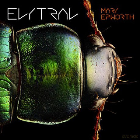 Mary Epworth: Elytral [Winyl]