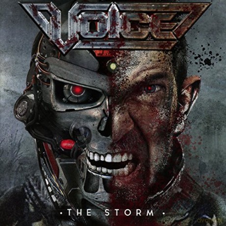 Voice: The Storm [CD]