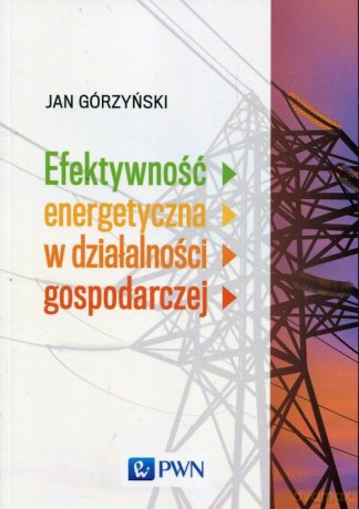 Efektywność energetyczna w działalności gospodarczej - Jan Górzyński [KSIĄŻKA]