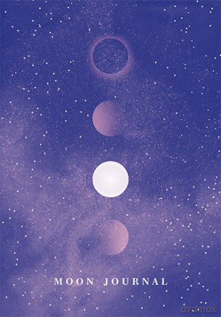 Moon journal - Sandra Sitron [KSIĄŻKA]
