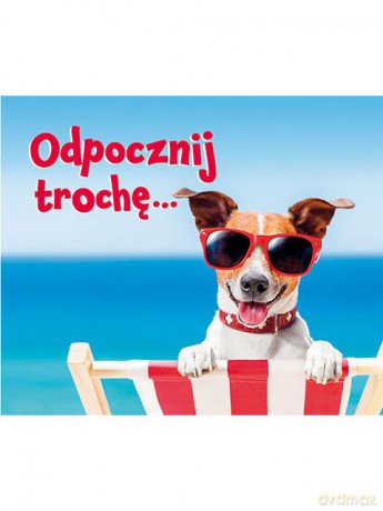 Odpocznij trochę. Perełki [KSIĄŻKA]