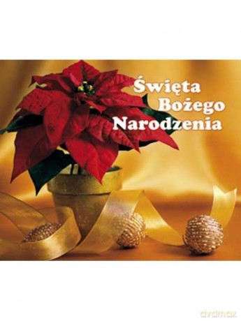 Święta Bożego Narodzenia. Perełki [KSIĄŻKA]