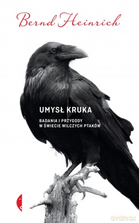 Umysł kruka. Badania i przygody w świecie wilczych ptaków - Bernd Heinrich [KSIĄŻKA]
