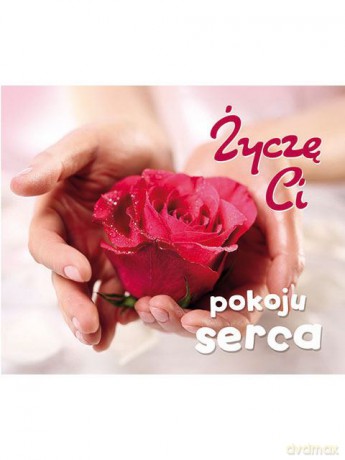 Życzę ci pokoju serca. Perełki [KSIĄŻKA]