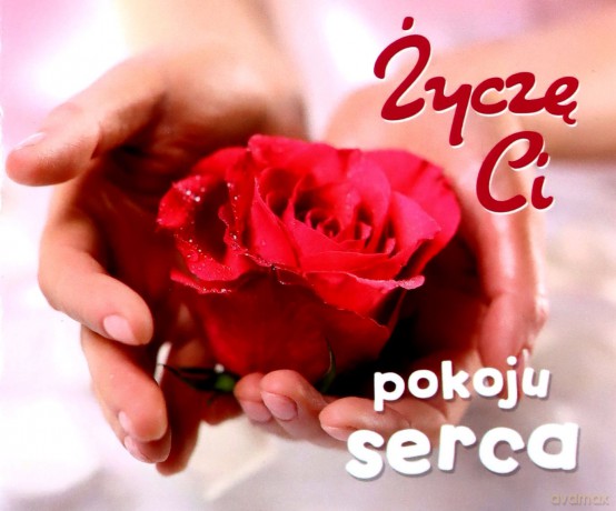 Życzę ci pokoju serca. Perełki [KSIĄŻKA]