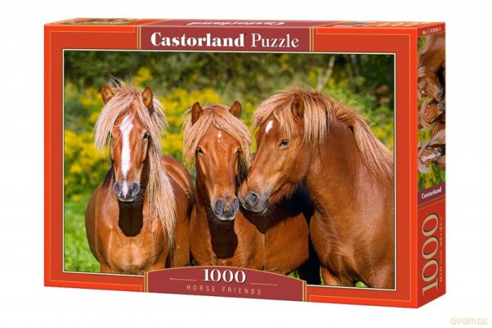 CASTOR 1000 el. - Konie [PUZZLE]