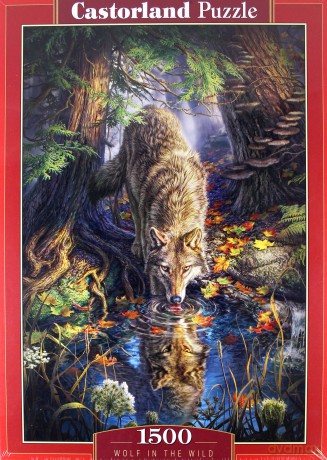 CASTOR 1500 el. Wilk [PUZZLE]